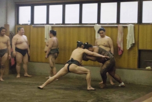 Tokyo: Sumo Morning Practice Viewing Tour