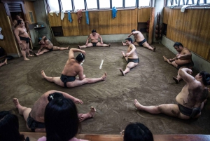 Tokyo: Sumo Morning Practice Viewing Tour