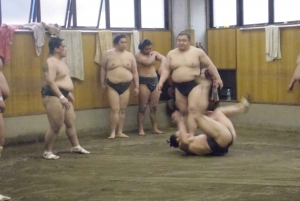 Tokyo: Sumo Morning Practice Viewing Tour