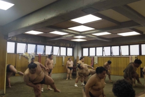 Tokyo: Sumo Morning Practice Viewing Tour