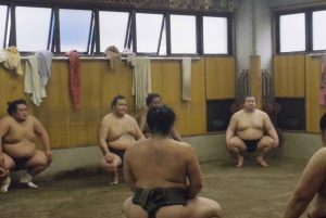 Tokyo: Sumo Morning Practice Viewing Tour