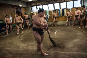 Tokyo: Sumo Morning Practice Viewing Tour