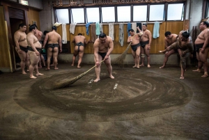 Tokyo: Sumo Morning Practice Viewing Tour