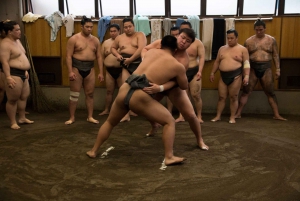 Tokyo: Sumo Morning Practice Viewing Tour