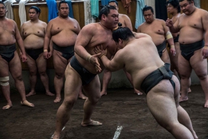 Tokyo: Sumo Morning Practice Viewing Tour