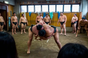 Tokyo: Sumo Morning Practice Viewing Tour