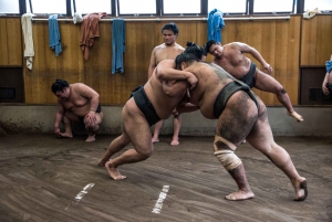 Tokyo: Sumo Morning Practice Viewing Tour