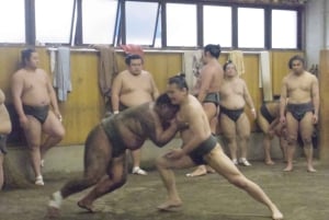 Tokio: Recorrido matinal para ver los entrenamientos de sumo