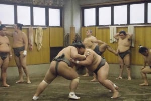 Tokio: Recorrido matinal para ver los entrenamientos de sumo