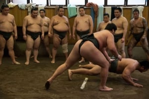 Tokio: Recorrido matinal para ver los entrenamientos de sumo
