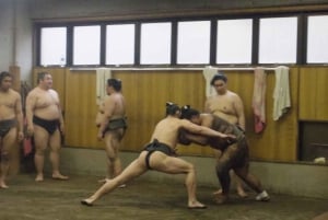 Tokio: Recorrido matinal para ver los entrenamientos de sumo