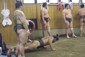Tokio: Recorrido matinal para ver los entrenamientos de sumo