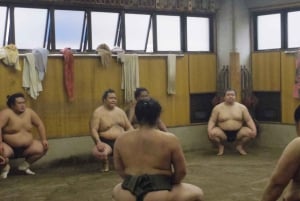 Tokio: Recorrido matinal para ver los entrenamientos de sumo
