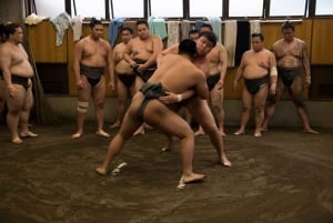 Tokio: Recorrido matinal para ver los entrenamientos de sumo
