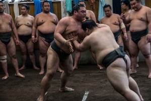 Tokio: Recorrido matinal para ver los entrenamientos de sumo