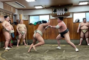 Sumo-ochtendtraining in Tokio / Sumo-training met worstelaars