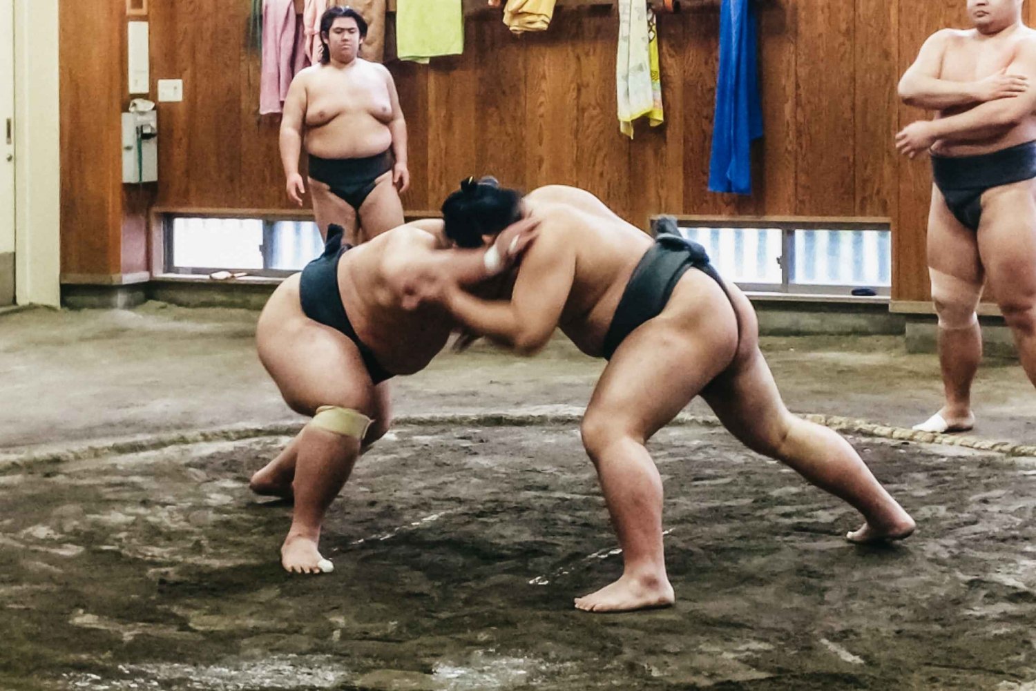 Tokyo: Sumo Morning Training Visit