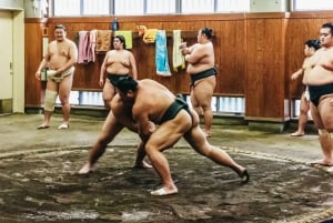 Tokyo: Sumo Morning Training Visit