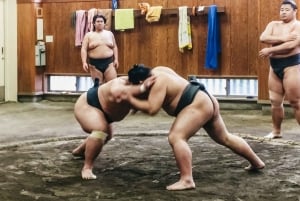Tokio: Poranny trening sumo