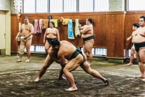 Tokio: Poranny trening sumo