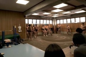 東京：大相撲稽古場見学ツアー、土俵サイド席と写真撮影付き