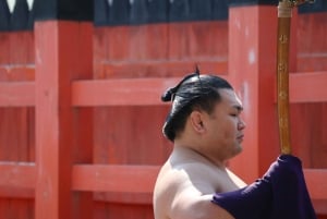 Tokyo Sumo-oplevelse: Chanko og mochi med en tidligere professionel