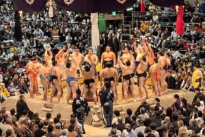 Tokio: turniej sumo: wycieczka z przewodnikiem + bilet i przydzielone miejsce