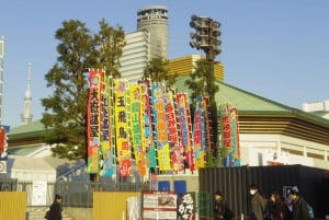 Tokyo: Tour del torneo di sumo con biglietti per il posto in poltrona