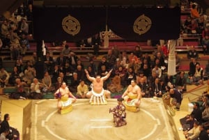 Tokyo: Tour del torneo di sumo con biglietti per il posto in poltrona