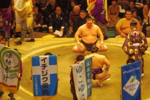 Tokyo: Tour del torneo di sumo con biglietti per il posto in poltrona