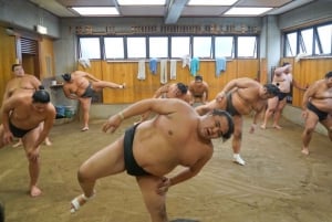 Tokyo: Exklusiv tillgång till Sumos morgonträning med foton