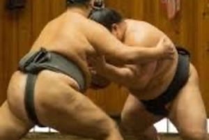 Tokyo: Sumo Show and Experience in Shinjuku