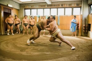 Tokyo: spettacolo di sumo con bevande e foto