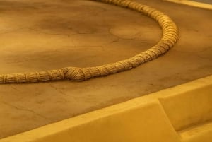 Tokyo: spettacolo di sumo con bevande e foto