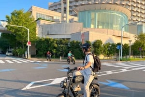 Tokyo Bay-området: Guidet tur på elcykel på 3 timer med udsigt ved solnedgang
