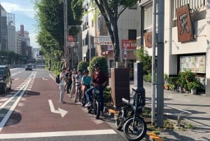 Tokyo Bay-området: Guidet tur på elcykel på 3 timer med udsigt ved solnedgang
