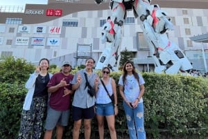 Tokyo Bay-området: Guidet tur på elcykel på 3 timer med udsigt ved solnedgang