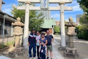 Tokyo Bay-området: Guidet tur på elcykel på 3 timer med udsigt ved solnedgang