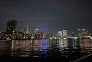 Tokyo Bay-området: Guidet tur på elcykel på 3 timer med udsigt ved solnedgang
