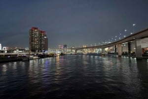 Tokyo Bay-området: Guidet tur på elcykel på 3 timer med udsigt ved solnedgang
