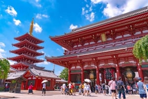 Tokyo: Sushi Making Class with Optional Sake Set in Asakusa