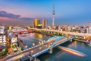 Tokyo: Sushi Making Class with Optional Sake Set in Asakusa