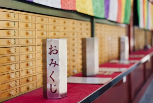 Tokyo: Sushi Making Class with Optional Sake Set in Asakusa