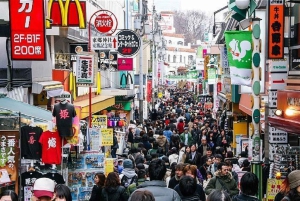 Tóquio: excursão personalizada para compras