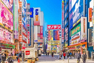 Tóquio: excursão personalizada para compras