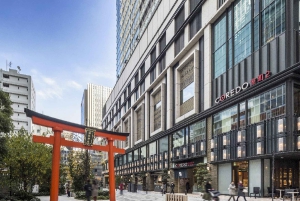 Tóquio: excursão personalizada para compras