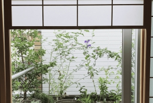 Tokio: Experiencia de la Ceremonia del Té en un pequeño salón de té