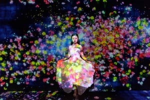 Tóquio: tour guiado pelo teamLab Planets e pelo mercado de peixe de Toyosu