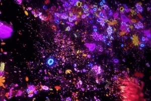 Tóquio: tour guiado pelo teamLab Planets e pelo mercado de peixe de Toyosu