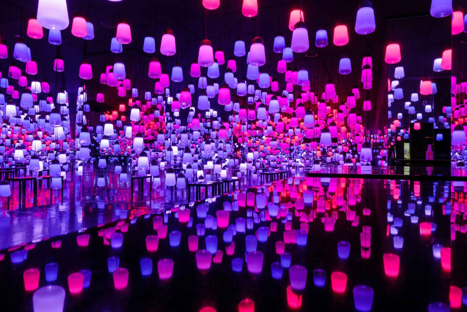 Tóquio: tour guiado pelo teamLab Planets e pelo mercado de peixe de Toyosu